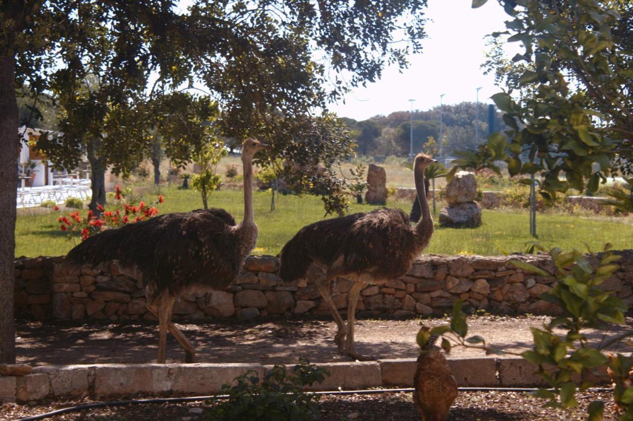 Tenuta Ferraro Gallipoli Exteriér fotografie