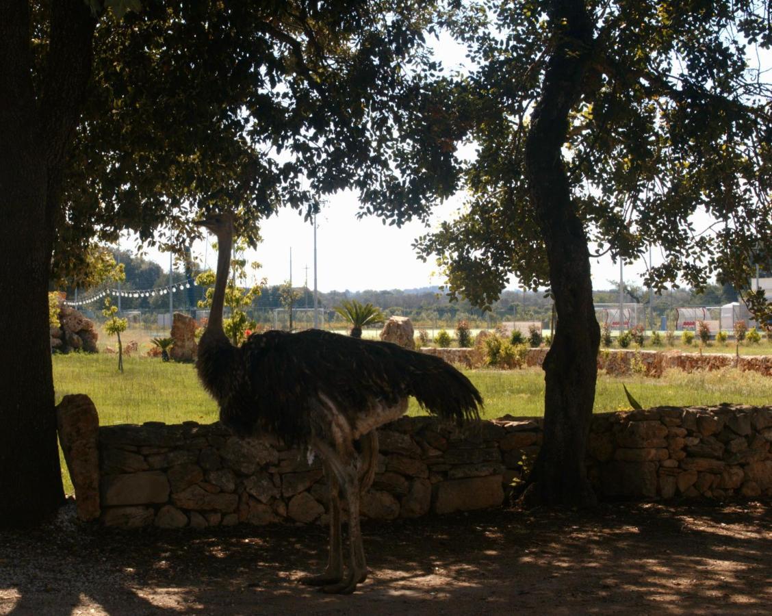 Tenuta Ferraro Gallipoli Exteriér fotografie