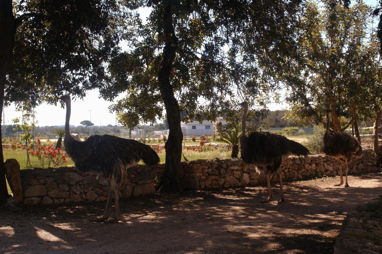Tenuta Ferraro Gallipoli Exteriér fotografie
