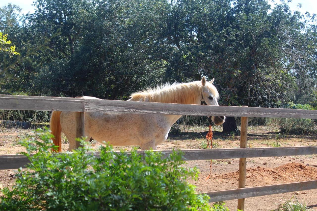 Tenuta Ferraro Gallipoli Exteriér fotografie