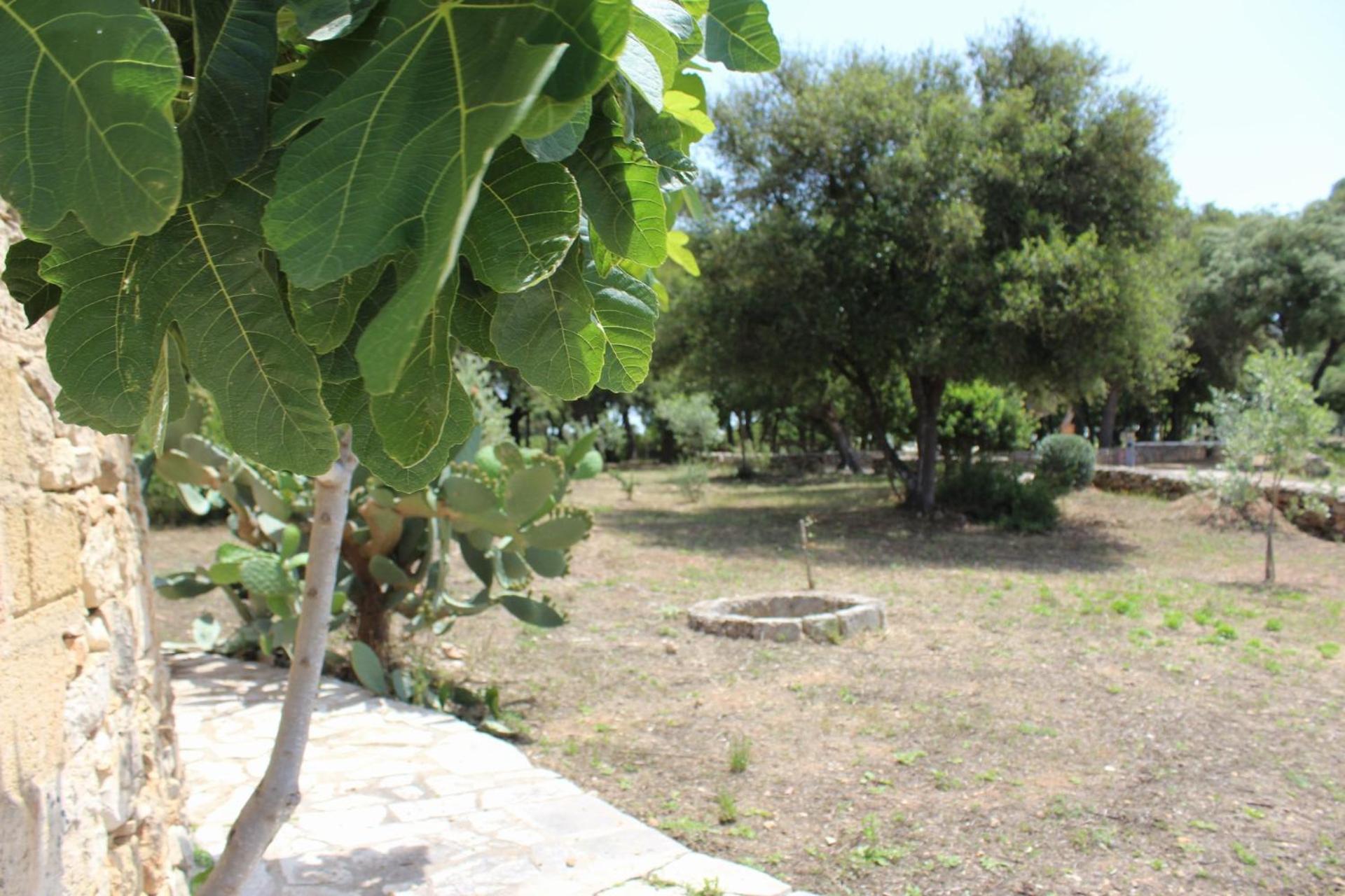 Tenuta Ferraro Gallipoli Exteriér fotografie