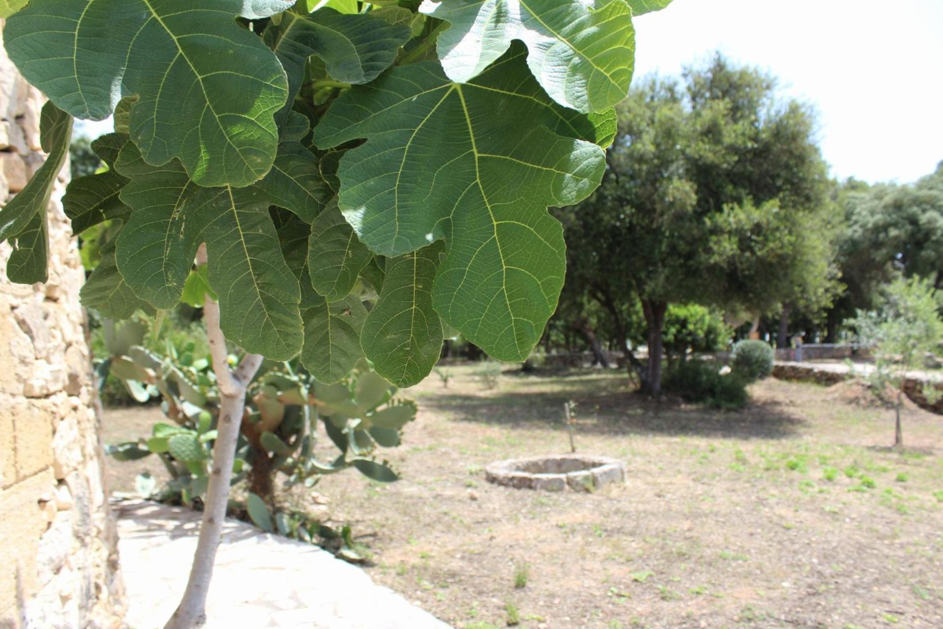 Tenuta Ferraro Gallipoli Exteriér fotografie
